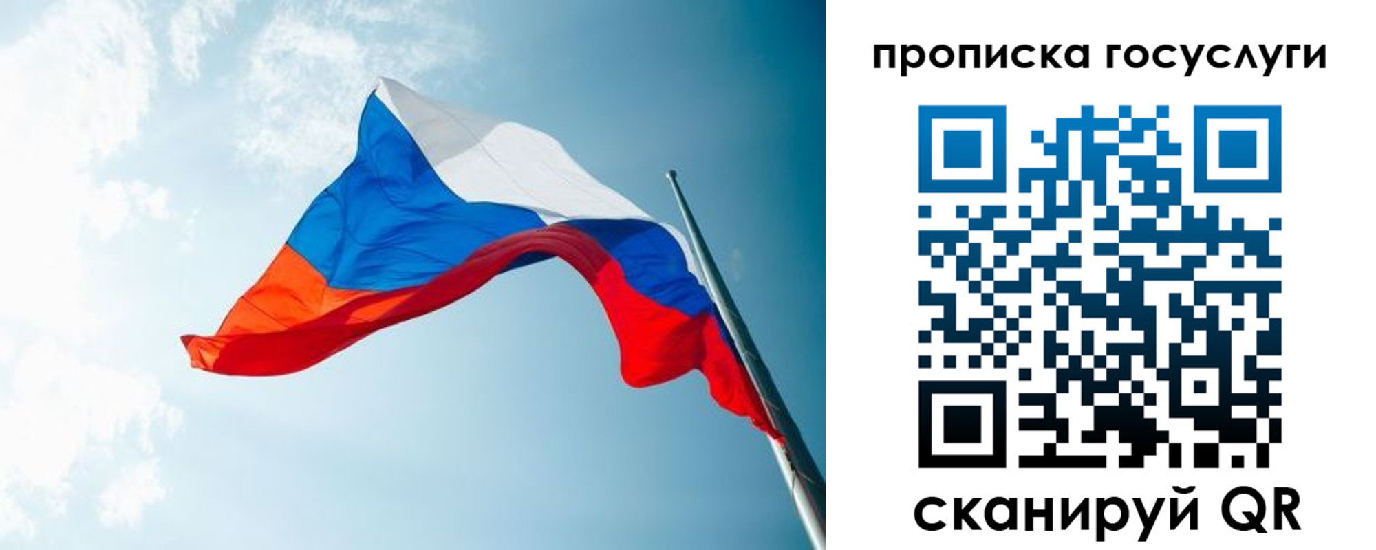 регистрация для школы в Светлогорске